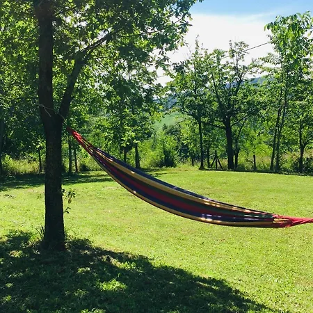 ベッド・アンド・ブレックファスト I Falchi Pellegrini Monzuno